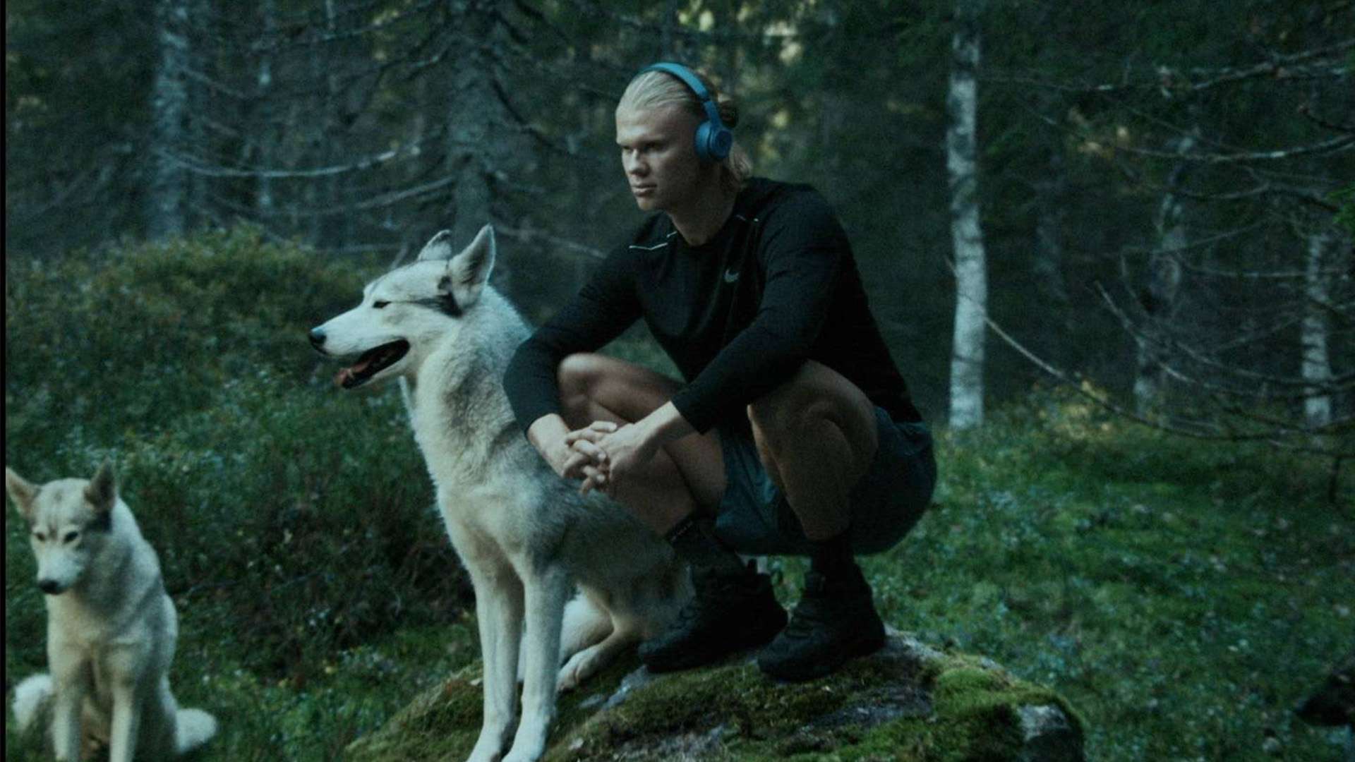 攻击力和防 攻击力和防